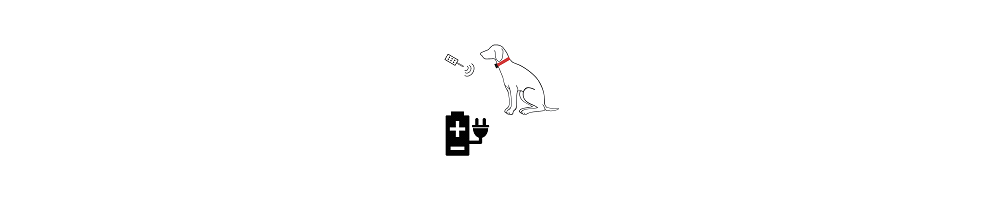 Collier de dressage rechargeable | Doggy DIFFUSION