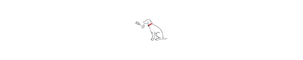 Pile 4LR44 pour collier anti-aboiement | Doggy DIFFUSION