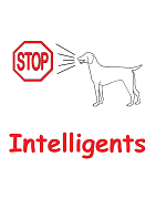 Colliers anti aboiement intelligents